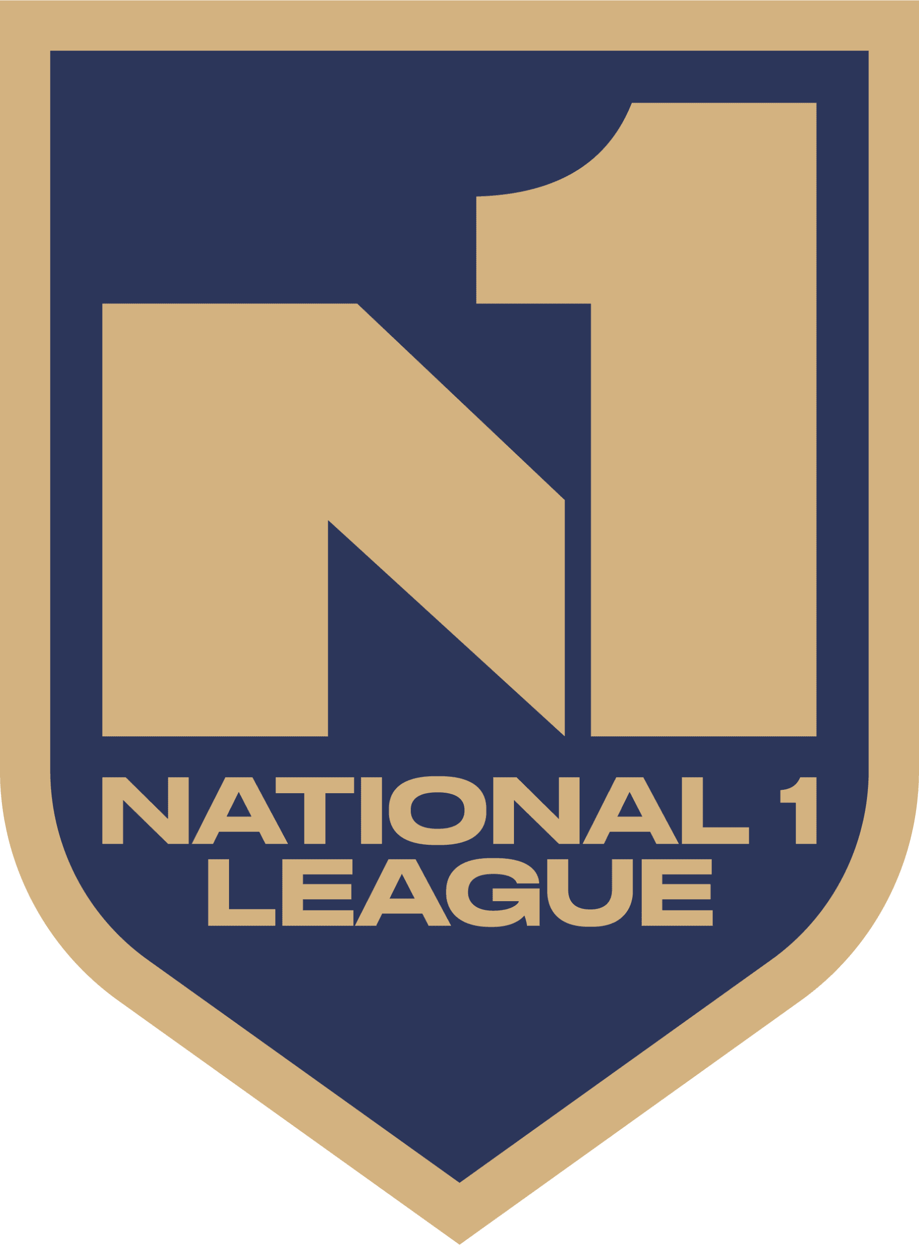 N1 Shield (1)